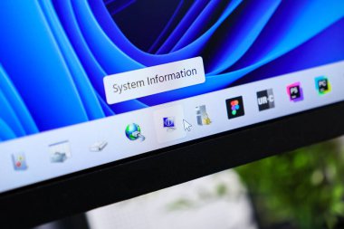 Poznan, Polonya - 6 Haziran 2025: Bilgisayar ekranının, bilgisayar ve veri tasvir eden Sistem Bilgi simgesini gösteren bir fare imleci ile yakın görüntüsü