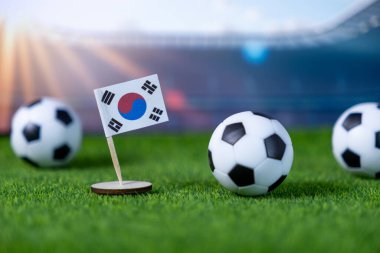 Canlı yeşil bir sahada birkaç futbol topunun yanında duran Güney Kore bayrağının yakın çekimi uluslararası şampiyonluk maçları ve vatansever taraftar desteği için heyecan uyandırıyor.