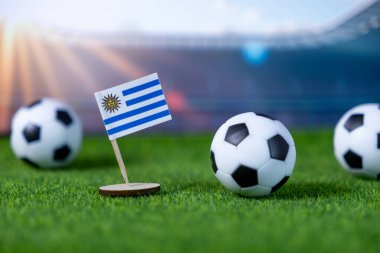 Küçük bir Uruguay bayrağı gururla futbol sahasında duruyor. Birkaç futbol topuyla uluslararası sporun heyecanını ve hayran coşkusunu büyük bir kopya alanı ile tasvir ediyor.