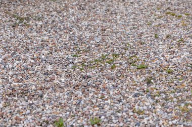 Çeşitli gri, beyaz ve kahverengi çakıl taşlarının detaylı yakın plan görüntüsü, çeşitli açık hava tasarım projeleri için doğal zemin örtüsü dokusu sergileniyor