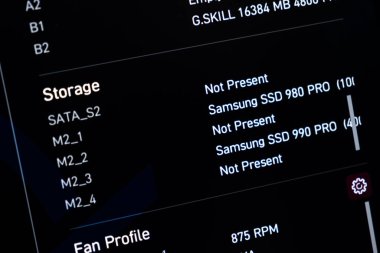 Poznan, Polonya - 20 Temmuz 2025: Samsung SSD 980 PRO ve donanım yapılandırması için G.SKILL belleğini gösteren bir bilgisayar sistemi bilgi ekranının ayrıntılı görünümü