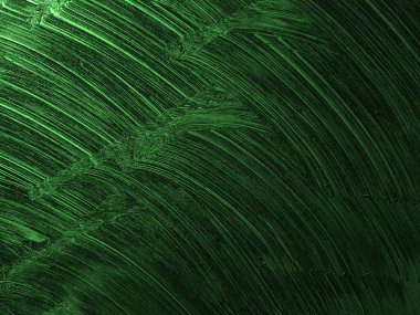 yeşil yaprak dokusu, soyut arkaplan