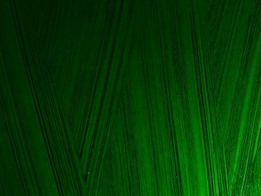 yeşil yaprak desen doku