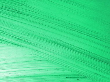 soyut yeşil yaprak dokusu.