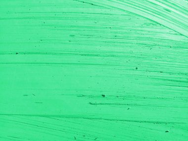 yeşil yaprak arkaplan dokusu