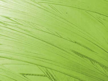 yeşil yaprak arkaplan dokusu