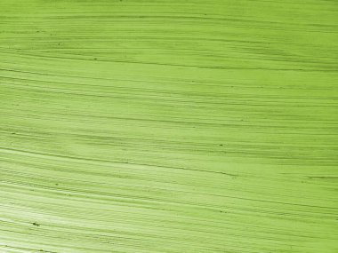 yeşil yaprak arkaplan dokusu.