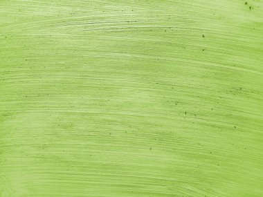 ahşap üzerine yeşil yaprak