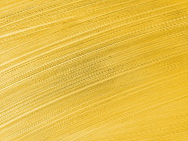 sarı boyalı ahşap doku