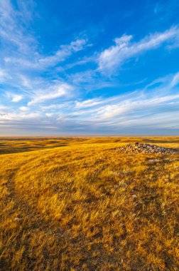 Güneydoğu Alberta 'daki Majorville Tıp Tekerleği arkeolojik alanı.