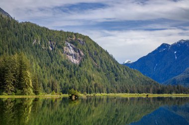 Waterfalls on the cliffs overlooking the scenic Stafford Estuary Conservancy at the head of Loughborough Inlet, on the west coast of British Columbia. clipart