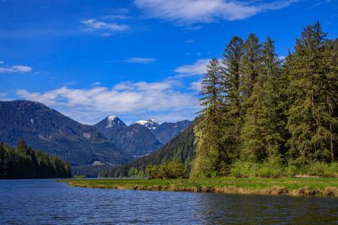 The scenic Stafford Estuary Conservancy at the head of Loughborough Inlet, on the west coast of British Columbia. clipart