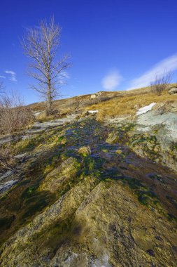 Spring water seeping from the ground along the bank of the Oldman River near Waldron Falls clipart