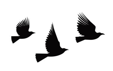 Uçan bir kuş sürüsü. Siyah siluetler beyaz arkaplanda izole edilmiş. Vektör illüstrasyonu