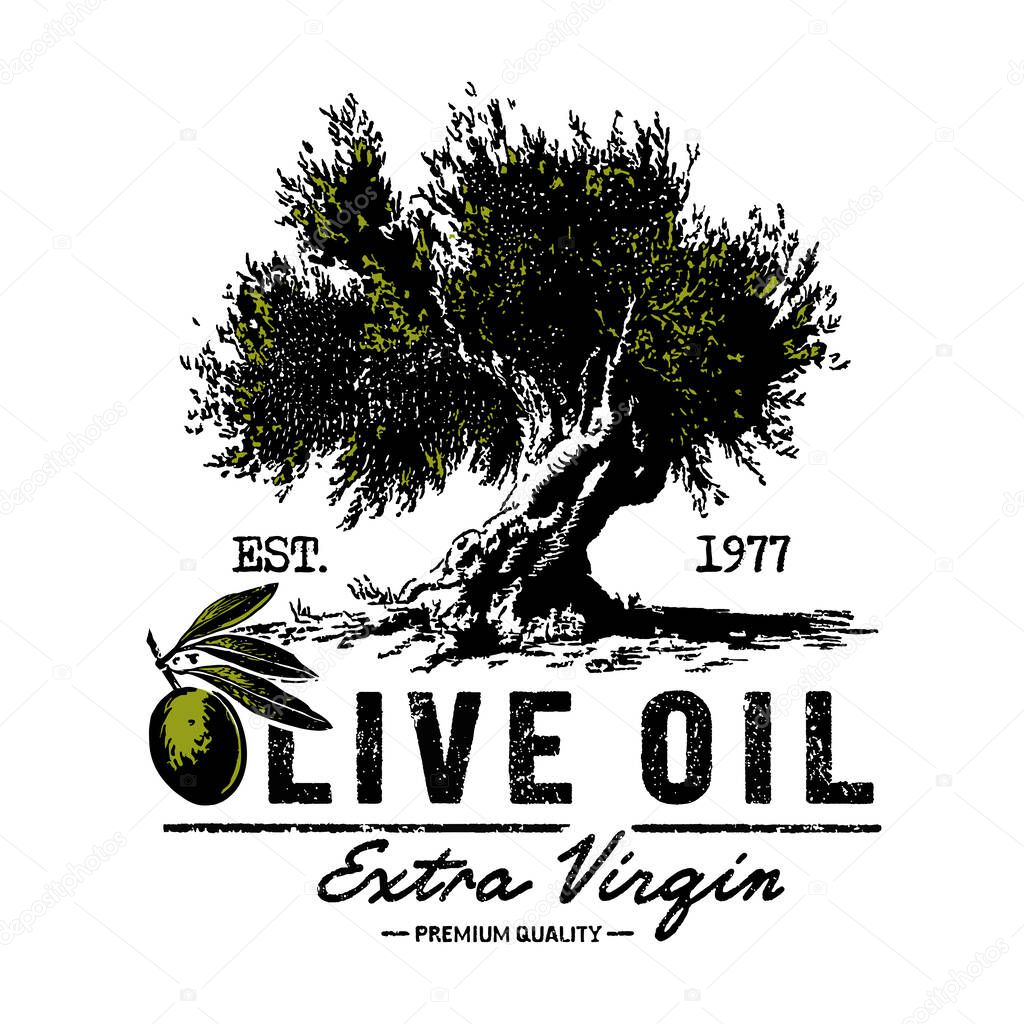 Vintage hand-drawn olive oil label with olive tree illustration and text for organic olive oil packaging and branding design. Olive oil logo, extra virgin, premium quality, vector illustration