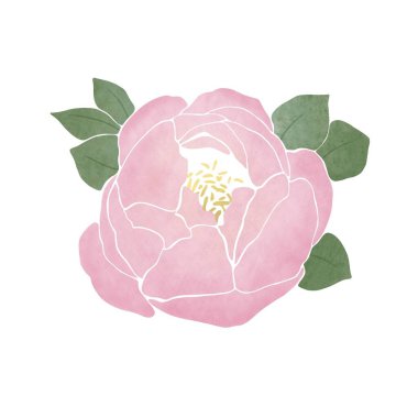 Şakayık çiçek kartı. Botanik illüstrasyon  