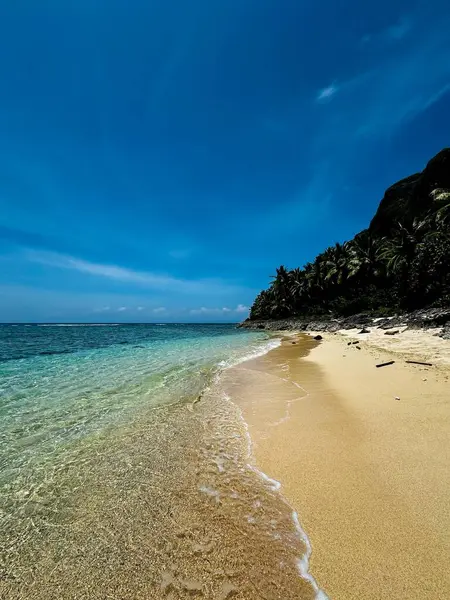 Palmiye ağaçları ve denizi olan güzel tropikal plajlar
