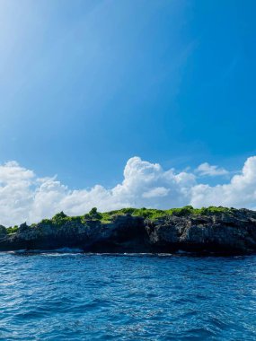 Ağaçların arasında farklı ve güzel dokuları olan bir kaya.
