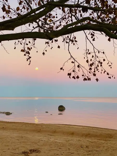 Sonbaharda dolunay göle yansıyor.
