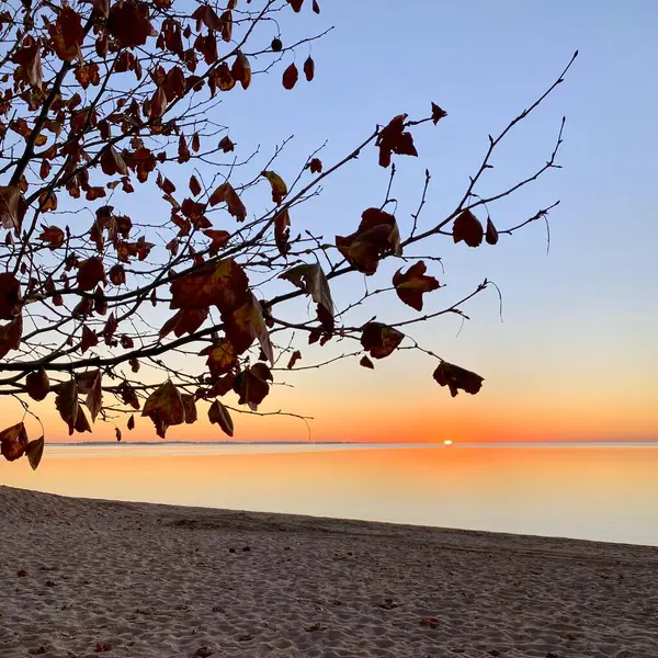 Aynalı gölde sonbahar şafağı
