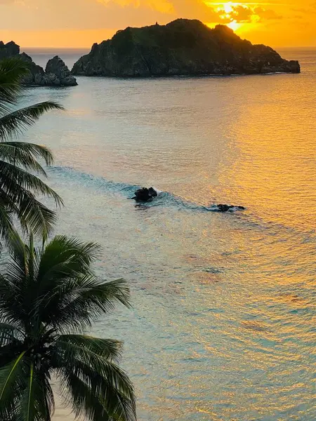 Dağın arkasında, turuncu bir gün batımında Hindistan cevizi ağaçlarıyla mavi denize yansıyan güneş. 