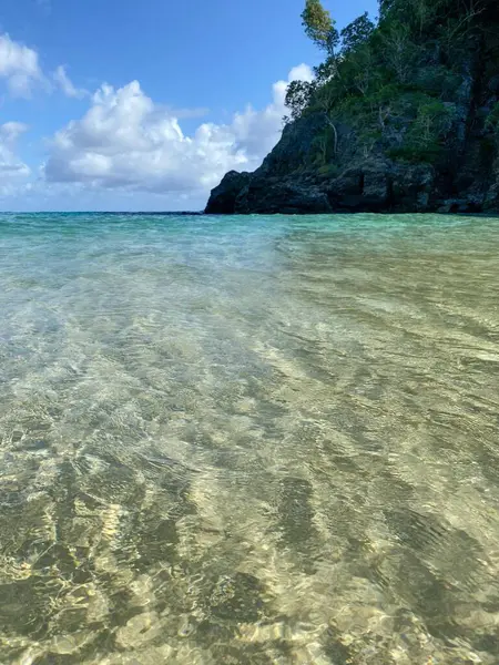 Su kristal berrak sularda, arka planda dağlar var.