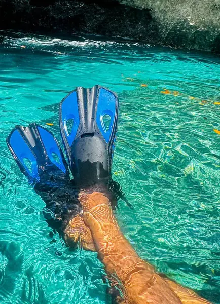 Kristal berrak denizde ördek güveci