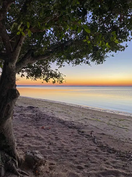 Gölde renkli yaz gündoğumu 