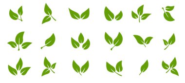 Bir grup siyah yaprak ikonu. Ağaç ve bitki yaprakları. Beyaz arkaplanda yapraklar. Ekoloji. Vektör illüstrasyonu.