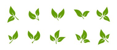Bir grup siyah yaprak ikonu. Ağaç ve bitki yaprakları. Beyaz arkaplanda yapraklar. Ekoloji. Vektör illüstrasyonu.
