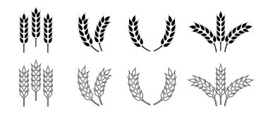 Buğday kulağı simgesi ayarlandı. Buğday logosu. Tahıl çivileri simgeleri yerleştirdi. Tahıl simgesi. Tarım sembolü. vektör illüstrasyonu