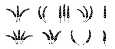Buğday kulağı simgesi ayarlandı. Buğday logosu. Tahıl çivileri simgeleri yerleştirdi. Tahıl simgesi. Tarım sembolü. vektör illüstrasyonu