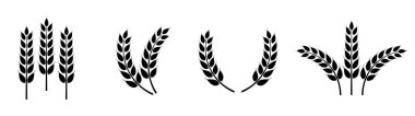 Buğday kulağı simgesi ayarlandı. Buğday logosu. Tahıl çivileri simgeleri yerleştirdi. Tahıl simgesi. Tarım sembolü. vektör illüstrasyonu