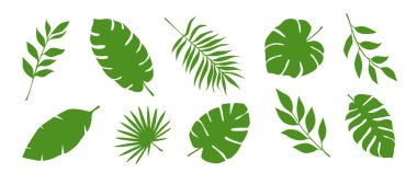  Tropik yapraklar. Tropik egzotik yapraklar ve dallar. Siyah yaprak koleksiyonu. Doğa yaprakları. Vektör illüstrasyonu.