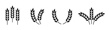 Buğday kulağı simgesi ayarlandı. Buğday logosu. Tahıl çivileri simgeleri yerleştirdi. Tahıl simgesi. Tarım sembolü. vektör illüstrasyonu
