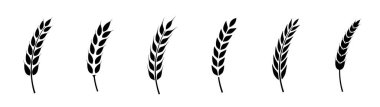 Buğday kulağı simgesi ayarlandı. Buğday logosu. Tahıl çivileri simgeleri yerleştirdi. Tahıl simgesi. Tarım sembolü. vektör illüstrasyonu