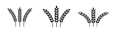Buğday kulağı simgesi ayarlandı. Buğday logosu. Tahıl çivileri simgeleri yerleştirdi. Tahıl simgesi. Tarım sembolü. vektör illüstrasyonu