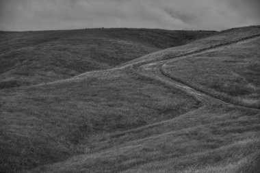 Doğa sahnesinin resimsel görüntüsü