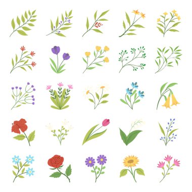 Bir dizi botanik kır çiçeği ve bitki düzleştirmesi.