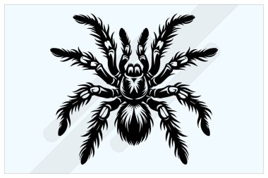 Tarantula Silhouette Black Clipart for Spider and Insect Designs clipart