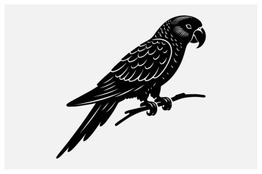 Parrot Perching Silhouette Clipart High-Quality Black Vector for Logos and Designs clipart