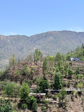 Dağları ve ağaçları olan güzel bir manzara.