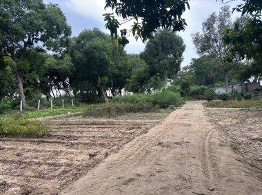 Yoğun, yeşil bir ormanın içinden geçen dar bir toprak yol. Güneş ışığı, uzun ağaçların yapraklarının arasından süzülüp yola ve orman zeminine lekeli ışık saçıyor..