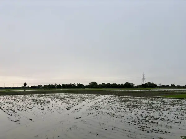 stock image a flooded field with dramatic clouds looming in the sky. Power lines stretch across the horizon, leading towards a single power tower in the distance.