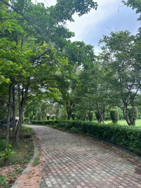 Tuğla yolu olan sakin bir park yemyeşil çimlerin arasında süzülüyor. Yolun her iki tarafında da tam yaprak çizgisi olan uzun ağaçlar, geniş bir gölge sağlıyor. Gökyüzü bulutlu, sahnede yumuşak ve dağınık bir ışık var..