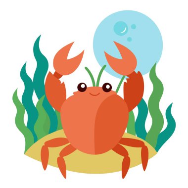 crab graphic design vector clipart