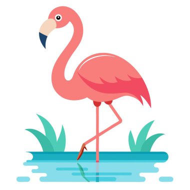 Flamingo illüstrasyonu ve renk değişimi