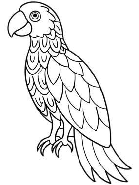 parrot coloring page on white background clipart