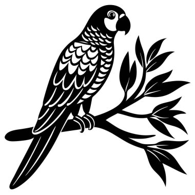 parrot silhouette vector on white background clipart