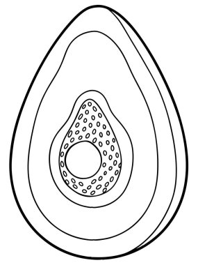 Beyaz arkaplanda Avokado Renklendirme sayfası